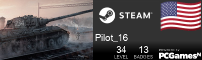 Pilot_16 Steam Signature