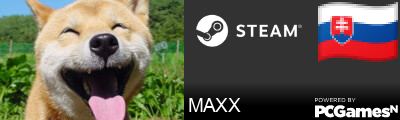 MAXX Steam Signature