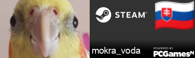 mokra_voda Steam Signature