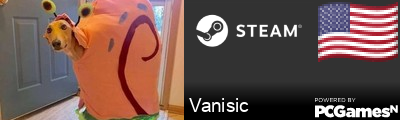 Vanisic Steam Signature