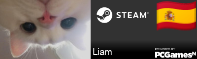 Liam Steam Signature