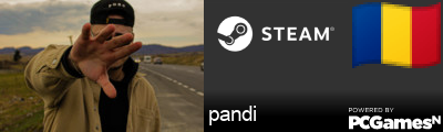 pandi Steam Signature