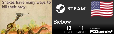 Biebow Steam Signature