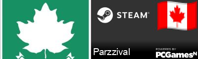 Parzzival Steam Signature