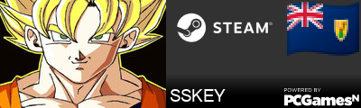 SSKEY Steam Signature