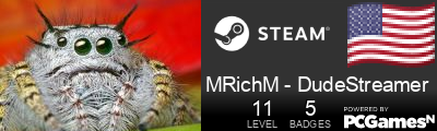 MRichM - DudeStreamer Steam Signature