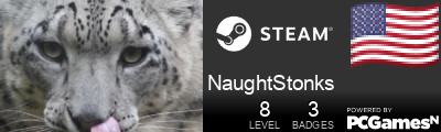 NaughtStonks Steam Signature