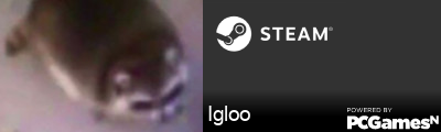 Igloo Steam Signature