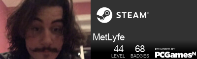 MetLyfe Steam Signature