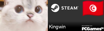 Kingwin Steam Signature