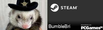 BumbleBri Steam Signature
