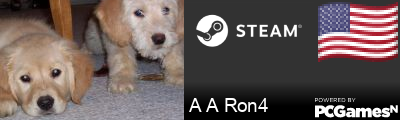 A A Ron4 Steam Signature