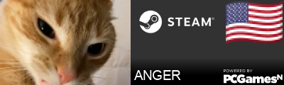 ANGER Steam Signature