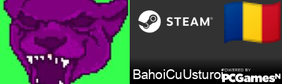 BahoiCuUsturoi Steam Signature