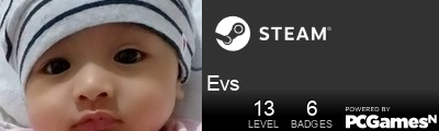 Evs Steam Signature