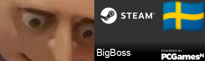BigBoss Steam Signature