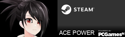ACE POWER Steam Signature
