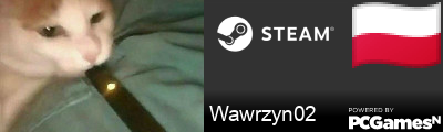 Wawrzyn02 Steam Signature