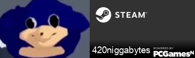 420niggabytes Steam Signature