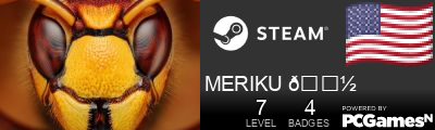 MERIKU 👽 Steam Signature