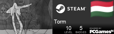 Torm Steam Signature