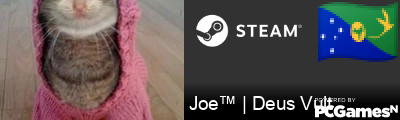 Joe™ | Deus Vult Steam Signature