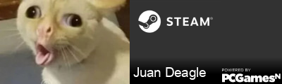 Juan Deagle Steam Signature