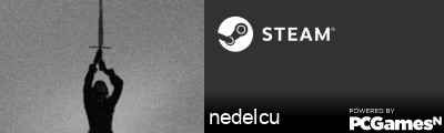 nedelcu Steam Signature