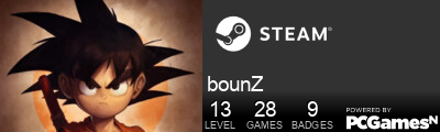 bounZ Steam Signature