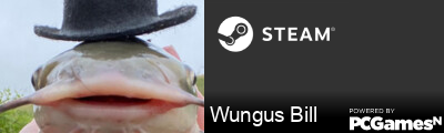 Wungus Bill Steam Signature