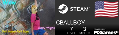 CBALLBOY Steam Signature