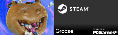 Groose Steam Signature
