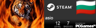 asio Steam Signature