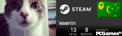 `esenin Steam Signature