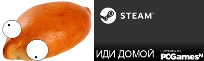 ИДИ ДОМОЙ Steam Signature