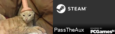 PassTheAux Steam Signature