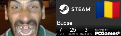 Bucse Steam Signature