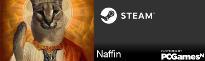 Naffin Steam Signature