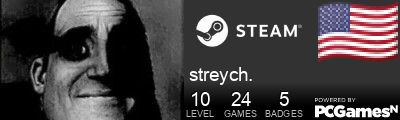 streych. Steam Signature