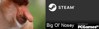 Big Ol' Nosey Steam Signature