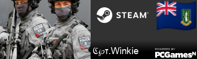 ℭ℘τ.Winkie Steam Signature