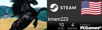 kmsm223 Steam Signature