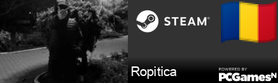Ropitica Steam Signature