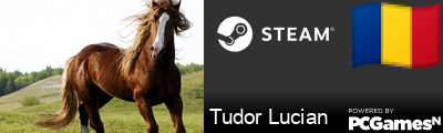 Tudor Lucian Steam Signature