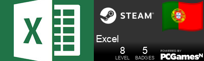 Excel Steam Signature
