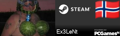 Ex3LeNt Steam Signature