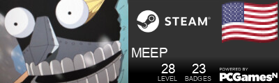 MEEP Steam Signature