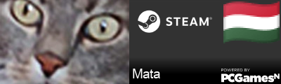 Mata Steam Signature