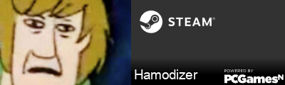 Hamodizer Steam Signature