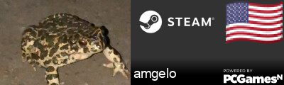amgelo Steam Signature